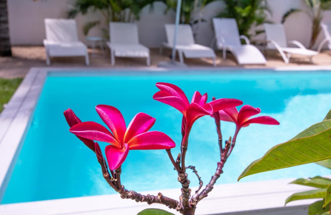 Le Mandala Moris Guesthouse Pointe Aux Canonniers Grand-Baie Dış mekan fotoğraf